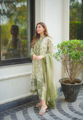 Aneela’s Luxury Lawn Collection