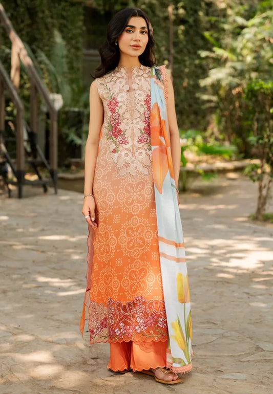 Asifa & Nabeel Lawn & Chiffon Collection